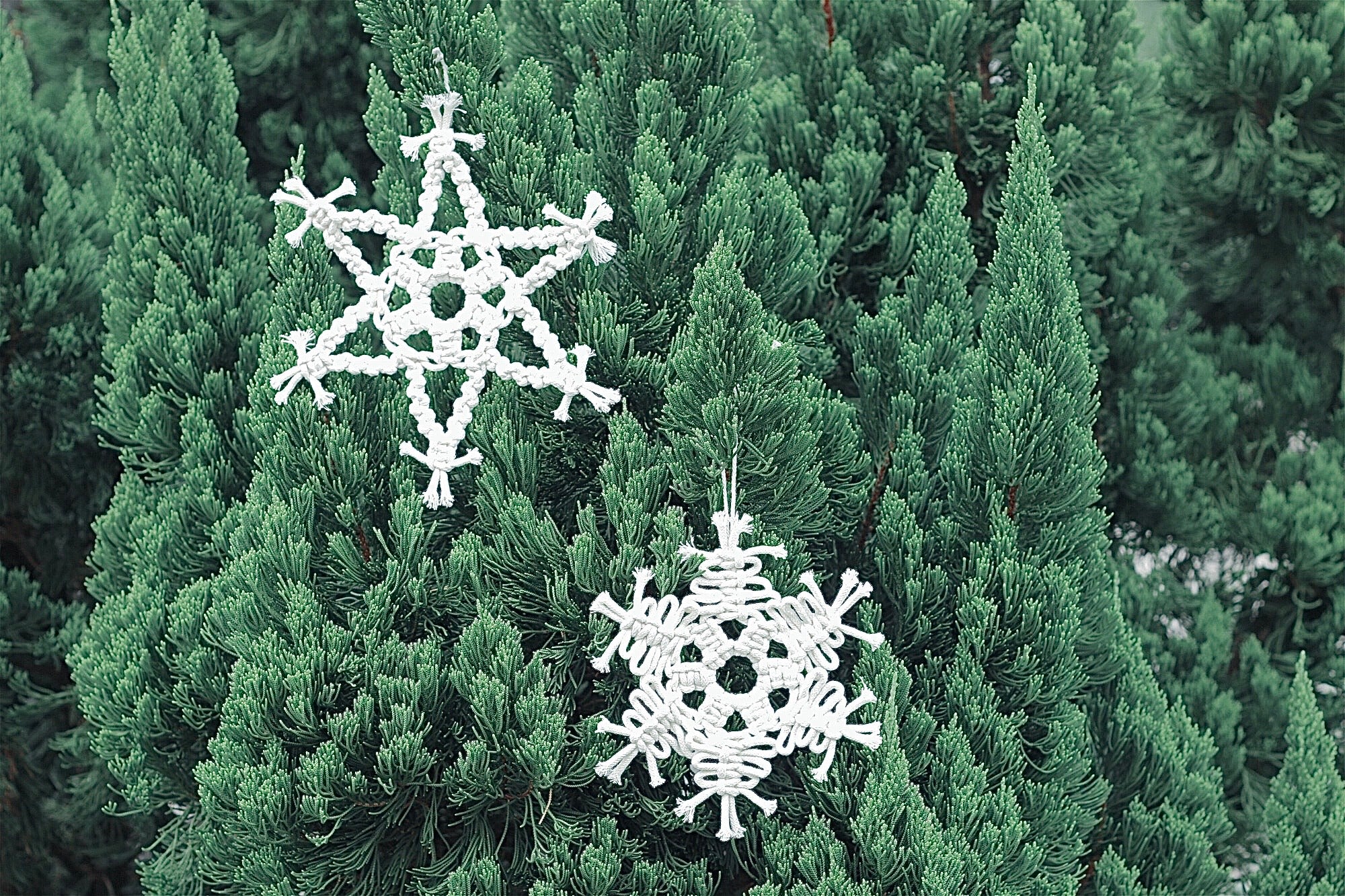 White crocheted star and snowflake decorations on a green tree.